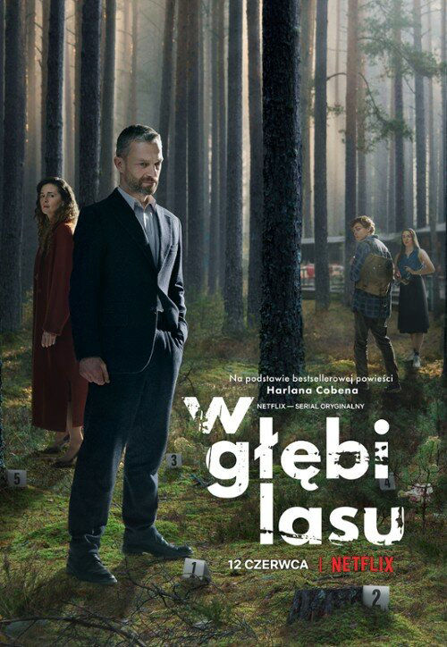 В густом лесу - постер сериала